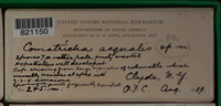 Image Associated With the Occurence